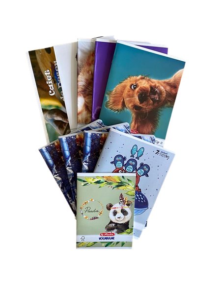 SET-TIP2,Set caiete prescolari Herlitz 4 tip II + 3 matematica + velin + caiet desen + vocabular