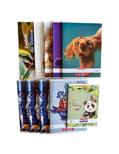 SET-TIP2,Set caiete prescolari Herlitz 4 tip II + 3 matematica + velin + caiet desen + vocabular