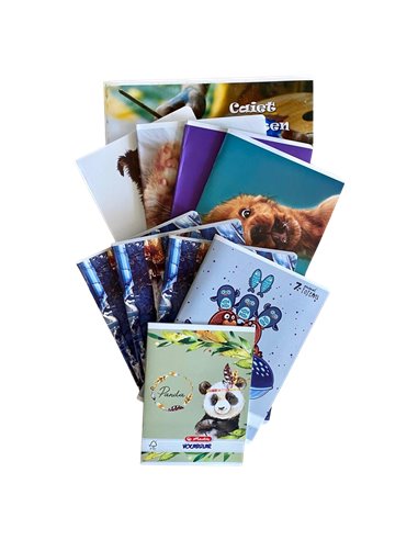 SET-TIP2,Set caiete prescolari Herlitz 4 tip II + 3 matematica + velin + caiet desen + vocabular