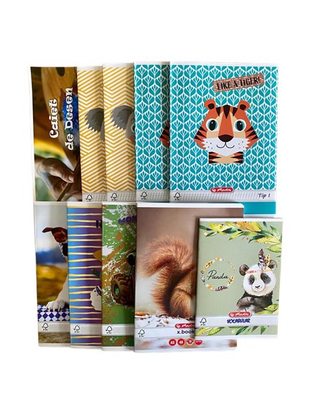 SET-TIP1,Set caiete prescolari Herlitz 4 tip I + 3 matematica + velin + caiet desen + vocabular