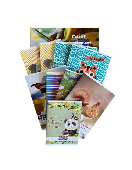 SET-TIP1,Set caiete prescolari Herlitz 4 tip I + 3 matematica + velin + caiet desen + vocabular