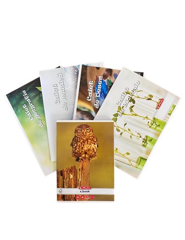 SET-CAIETSPECIAL,Set caiete Herlitz muzica+biologie+geografie+desen+velin, 5 buc/set