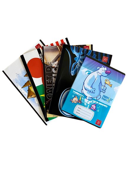 Set Caiete Pigna - Muzica+Bilogie+Geografie+Desen+Velin, 5 Buc/Set 