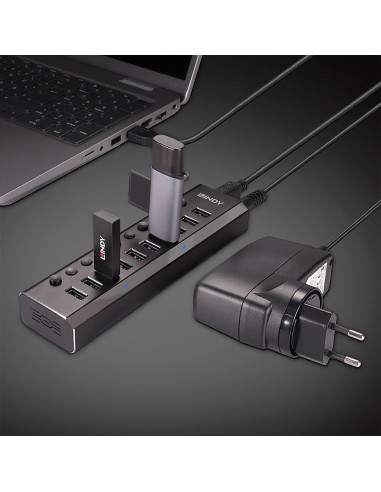 RY-LY-43370,Hub Lindy 10 Port USB 3.0 buton On/Off "LY-43370"