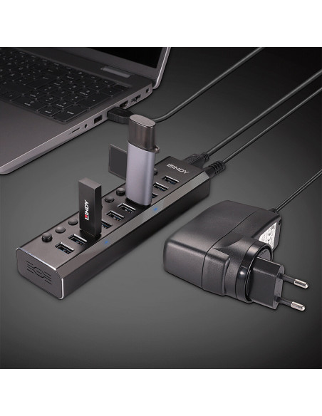 RY-LY-43370,Hub Lindy 10 Port USB 3.0 buton On/Off "LY-43370"
