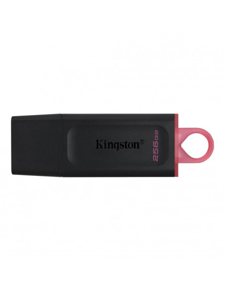 MEMORY DRIVE FLASH USB3.2/256GB DTX/256GB KINGSTON,DTX/256GB