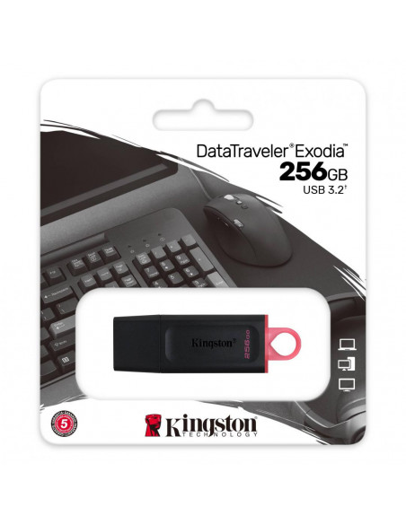 MEMORY DRIVE FLASH USB3.2/256GB DTX/256GB KINGSTON,DTX/256GB