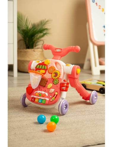 TOYZ-2011,Premergator multifunctional 5 in 1 Toyz Roz
