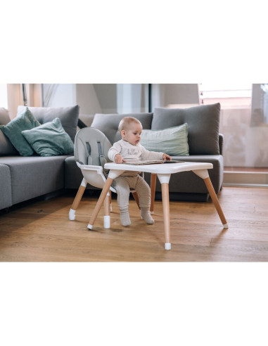 BN-44275,Scaun de masa 3 in 1, Multifunctional, Eos, Cu tavita reglabila si detasabila, Conform cu standardul european de securi BN-44275,Scaun de masa 3 in 1, Multifunctional, Eos, Cu tavita reglabila si detasabila, Conform cu standardul european de securi