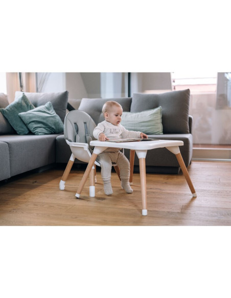BN-44275,Scaun de masa 3 in 1, Multifunctional, Eos, Cu tavita reglabila si detasabila, Conform cu standardul european de securi BN-44275,Scaun de masa 3 in 1, Multifunctional, Eos, Cu tavita reglabila si detasabila, Conform cu standardul european de securi