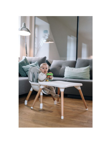 BN-44275,Scaun de masa 3 in 1, Multifunctional, Eos, Cu tavita reglabila si detasabila, Conform cu standardul european de securi BN-44275,Scaun de masa 3 in 1, Multifunctional, Eos, Cu tavita reglabila si detasabila, Conform cu standardul european de securi
