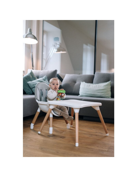 BN-44275,Scaun de masa 3 in 1, Multifunctional, Eos, Cu tavita reglabila si detasabila, Conform cu standardul european de securi BN-44275,Scaun de masa 3 in 1, Multifunctional, Eos, Cu tavita reglabila si detasabila, Conform cu standardul european de securi