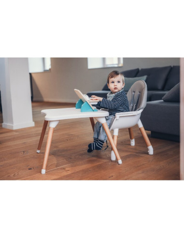 BN-44275,Scaun de masa 3 in 1, Multifunctional, Eos, Cu tavita reglabila si detasabila, Conform cu standardul european de securi BN-44275,Scaun de masa 3 in 1, Multifunctional, Eos, Cu tavita reglabila si detasabila, Conform cu standardul european de securi