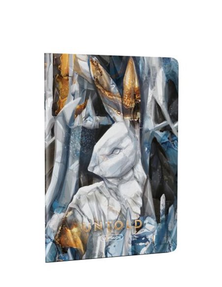 9487620-5,Set 5 Caiete Herlitz, A4, 80 file 70g/mp, patratele, colturi rotunjite, motiv The Magic of Untold