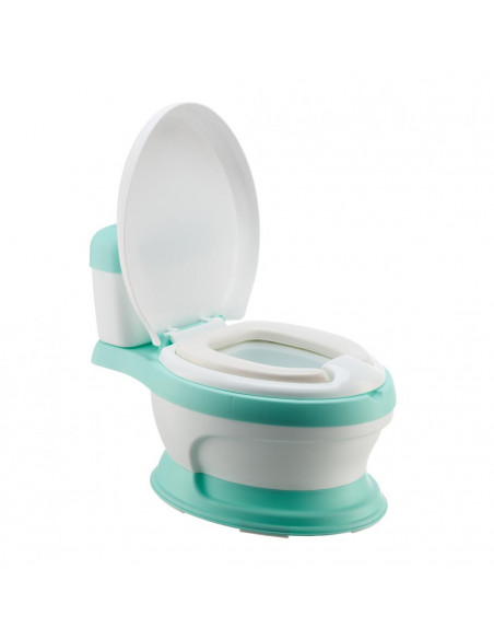 Olita educationala verde,U342-G