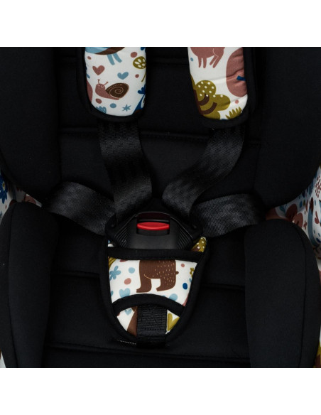 Scaun auto Isofix 9-36 kg Forest,U708-FRS