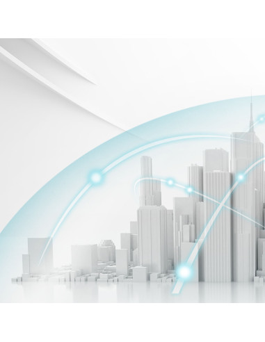 NR5101-EUZNV2F,ZYXEL NR5101 LTE INDOOR ROUTER, 5G "NR5101-EUZNV2F" (timbru verde 0.8 lei)