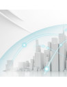 NR5101-EUZNV2F,ZYXEL NR5101 LTE INDOOR ROUTER, 5G "NR5101-EUZNV2F" (timbru verde 0.8 lei)