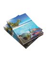 9490980,Agenda nedatata Herlitz A5 352 pagini, Motiv summer