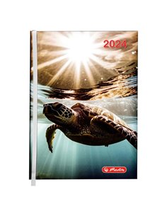 2024-9492930,Agenda datata Herlitz a5, 352 pagini, coperta buretata, Motiv turtle 2024