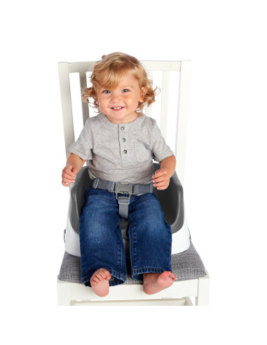 BB-11787,Ingenuity – Booster Toddler Slate