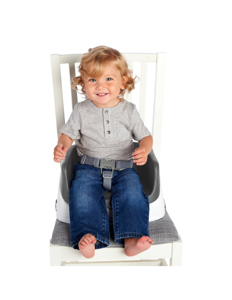 BB-11787,Ingenuity – Booster Toddler Slate