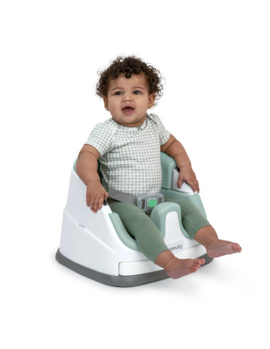 BB-16728,Ingenuity - Scaun masa 2 in 1 Mist
