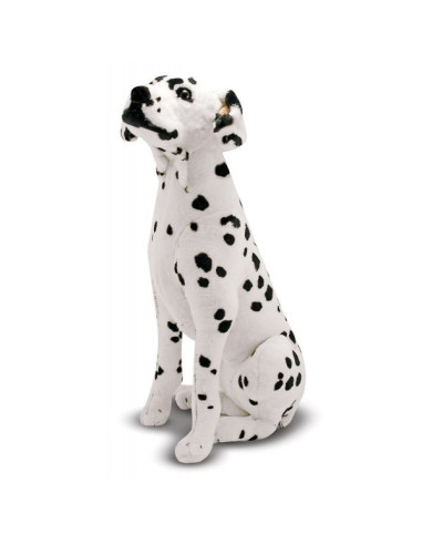 MD2110,Catel Dalmatian din plus