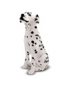 MD2110,Catel Dalmatian din plus