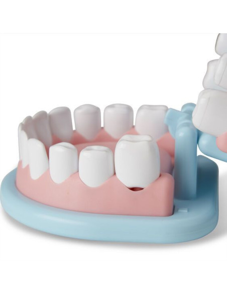 MD8611,Set de joaca educativ La Dentist