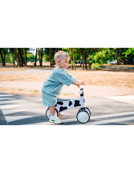 BN-LOE-SAMMY_PINK_ROSE,Lionelo - Bicicleta fara pedale, Sammy, Cu 4 roti, Din spuma EVA, Stabila, Manere moi, antiderapante, 12-