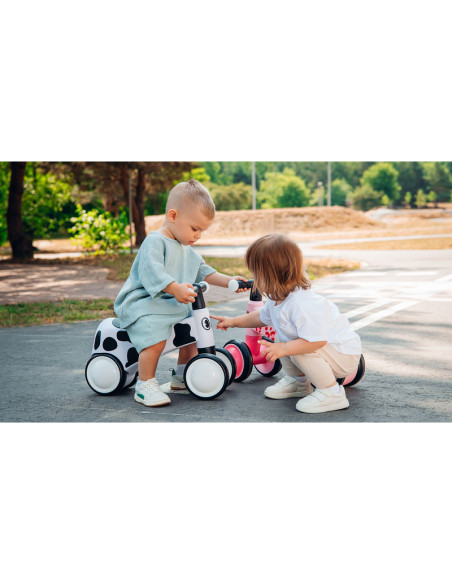 BN-LOE-SAMMY_PINK_ROSE,Lionelo - Bicicleta fara pedale, Sammy, Cu 4 roti, Din spuma EVA, Stabila, Manere moi, antiderapante, 12-