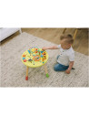 BN-49553,Masuta de activitati, Din lemn, Cu xilofon, Sortator de forme, Oglinda, Inaltime 48 cm, Free2Play, Multicolor