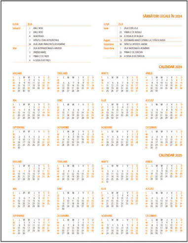 EGOLUXVL6,Agenda a4 saptamanala gri 2024 lux ego