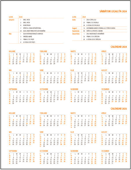 EGOLUXVL6,Agenda a4 saptamanala gri 2024 lux ego