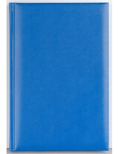 EGODOMINOCS3,Agenda a5 nedatata albastra domino ego