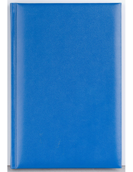 EGODOMINOCS3,Agenda a5 nedatata albastra domino ego