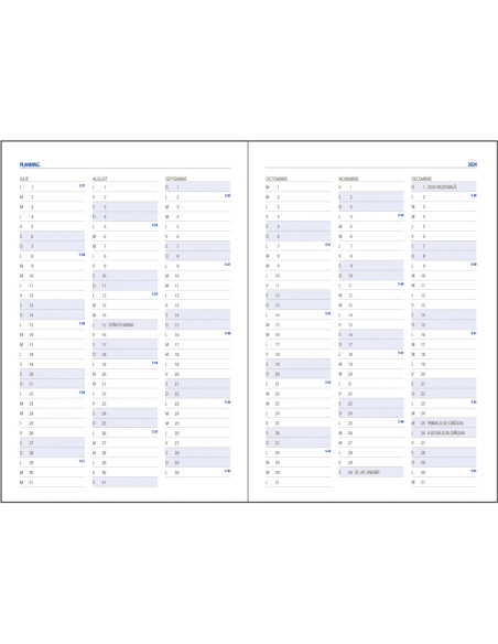 EGODOMINOCS3,Agenda a5 nedatata albastra domino ego