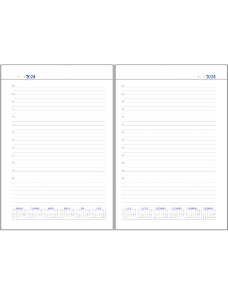 EGODOMINOCS3,Agenda a5 nedatata albastra domino ego
