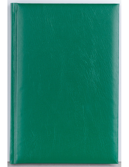 EGODOMINOIS12,Agenda a5 nedatata verde domino ego