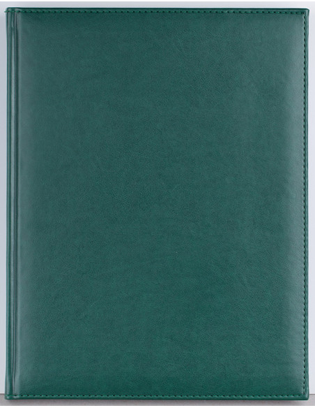 EGOACTIVFT12,Agenda a4 nedatata verde activ ego