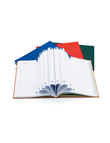 EGOACTIVFT12,Agenda a4 nedatata verde activ ego