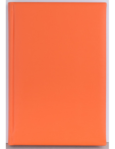 EGOCAPRIPC7,Agenda a5 zilnica portocalie 2024 capri ego