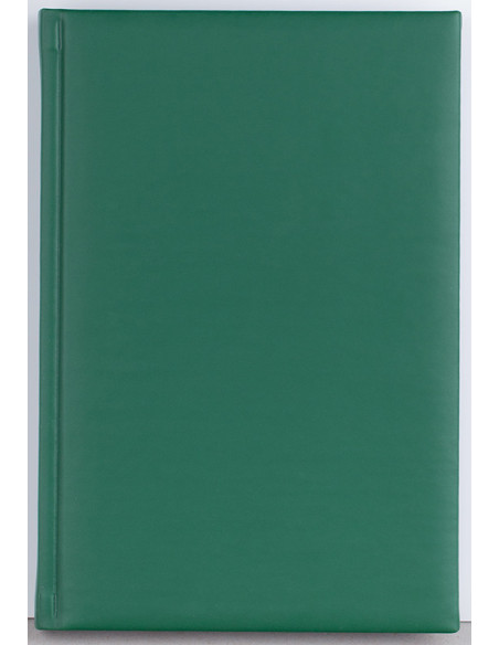 EGOCAPRIPC12,Agenda a5 zilnica verde 2024 capri ego