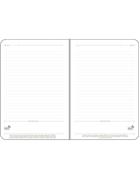 EGOECOMV12-02,Agenda a5 nedatata verde deschis eco ego
