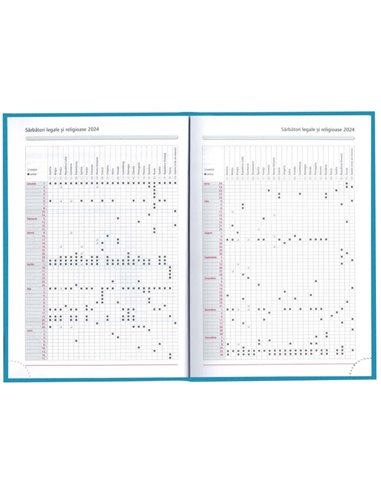 2024-9493660,Agenda datata Tucson 2024 ro A5, 352 pagini, coperta buretata, Albastru deschis