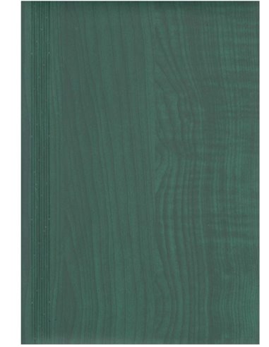 2024-9491180,Agenda nedatata Herlitz A4 128 pagini, Verde