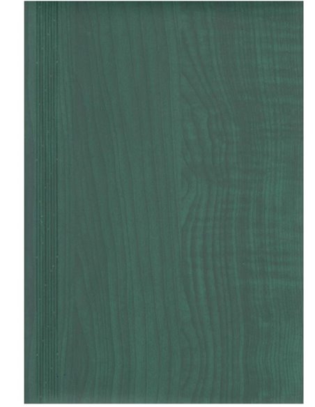 2024-9491180,Agenda nedatata Herlitz A4 128 pagini, Verde