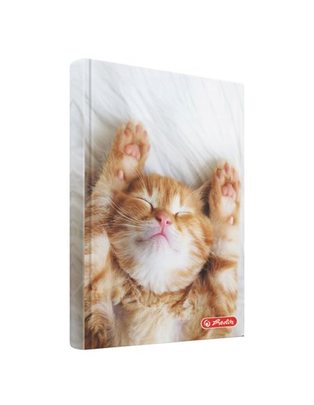 2024-9490990,Agenda nedatata a6 352 pagini motiv kitten