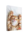 2024-9490990,Agenda nedatata a6 352 pagini motiv kitten